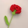 Fleurs décoratives bricolage œillet tricoté à la main Simulation Crochet fête des mères Bouquet cadeau pour mère