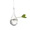 Vases Ball Garden Supplies Hydroponics Creative Plant Pot Terrarium Container Hanging Glass Vase