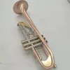 Wind Music B Trompeta Plana, Instrumento Musical Profesional Chapado En Plata de Dos Colores, Con Funda, Accesorios de Boquilla