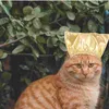 Odzież dla psów 2PCS Pet Bath Hats Puppy Shower Caps Kitten Household Cat