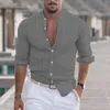 Camicie casual maschile 2024 Spring Autumn Fashion Linen Linen Shirt Servi a maniche lunghe Collar classico Colore solido traspirante