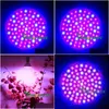 Grow Lights E27 Red and Blue 80 LED 4,5 W Hydroponic Plant Growth Light BB 85-265V Drop Leverans Lighting Inomhus DHXCD