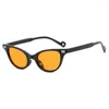 Lunettes de soleil 2024 Mode Femmes Cat Eye Petit cadre Lettre Garçons Street Po Girl Rétro Polyvalent Hip Hop Lunettes