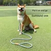 犬の首輪犬のリーシュリーシュ犬の小さな中程度の大きなハーネス子犬耐久性のあるピットブルペットのリードブラストトラクションロープ