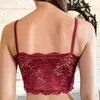 Bras Waist Tummy Shaper Sexy Lace Bralette Tube Tops Bandeau Womens Lace Bra Tanks Crop Top Female Seamless Underwear Wireless Bra Plus Size Camisole YQ240203