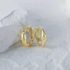 Hoepel Oorbellen CANNER Steranijs 925 Sterling Zilveren Oorbel Voor Vrouwen Kristal Fijne Sieraden 18K Gouden Bruiloft Accessoires