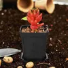 Flores decorativas suculentas pequeno vaso de plantas de plástico vasos recipientes para berçário de mudas com furos jardinagem plantador interior