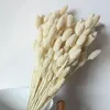 Decorative Flowers 60Pcs Dried Flower Rabbit Tail Grass Bouquet Home Bathroom Decor Beauty Pampas Arrangement For Weddding Decoration