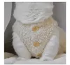 Costumi per gatti Vestiti Autunno Inverno Freddo Sherpa Gilet di colore puro Forniture per animali domestici Accessori per gatti