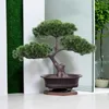 Dekoracyjne kwiaty solidne wszechstronne sztuczne powitanie wyświetlacza pulpitu bonsai