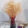 Flores decorativas Arranjos de decoração de casamentos secos de bebês naturais de bebê