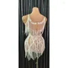 Scena noszenie lśniące srebrne cekiny frędzlowe sukienka seksowna siatka patrz przez Tassel Dance Costume Birthday Show
