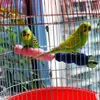 Andere vogels leveren huisdier papegaai klauw snavel slijpbalk staande stick stick stick stand platform parakeet bites speelgoed voor kooi -accessoires