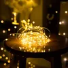 Saiten 5M 10M USB-betriebene LED-Lichterketten Silberdraht Fee Girlande Jahr Dekor Hochzeit Weihnachtsdekoration für Zuhause Zimmer