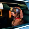 Vestuário para cães ATUBAN Capacete e óculos de sol para cães Proteção UV Óculos Esporte Chapéu Grande à prova de vento à prova de neve para animais de estimação