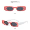 Eyewes extérieurs Lunettes de soleil vintage drôles femmes verres surdimensionnés Punk Luxury Brand Party Eyeglass Men personnalisé Elliptic