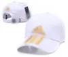 шляпа мужская дизайнерская шляпа модные женские бейсболки летние Snapback солнцезащитный козырек спортивная вышивка пляжные роскошные шапки R10