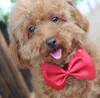 Dog Apparel 50/100 Solid Small Cat Bow Tie Bulk Neck Bowties For Dogs Pets Adjustable Kitten Pet Grooming Accessories Supplies