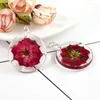 Decorative Flowers 12pcs Pressed Real Dried Flower Half Cut Rose For DIY Home Ornament Resin Casting Making Christmas Card Decoration