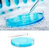 Dinnerware Sets 20PCS Plastic Petri Dish 90Mm Dia X 15Mm Deep With 10 2Ml Transfer Pipettes And 3Ml