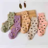 Women Socks 5 Pairs/Lot Cute Cartoon Pure Cotton Harajuku Fashion Colorful Cat Heads Korean Kawaii Girls Set Chaussettes