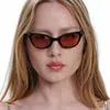 Lunettes de soleil 2024 Mode Femmes Cat Eye Petit cadre Lettre Garçons Street Po Girl Rétro Polyvalent Hip Hop Lunettes