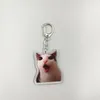 Keychains Viral Video Memes Series Of -huh Cat Confused Shocked Crunching Also Known As Crunchy C