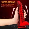 Godes Jiaolong Magic Dragon Nouveau dispositif de masturbation de plug anal de couleur mélangée pour hommes et femmes en silicone souple amusant faux produits sexuels pour pénis