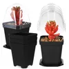 Dekorativa blommor Succulent Small Flowerpot Plastic Plants Pots Containrar för plantskolor med hål Gardening Planter inomhus