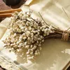 Decorative Flowers European Style Dried Flower Decoration Fruit Garland Small Bouquet Chinese Tallow White Bean Room Desktop