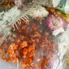 Mélange de fleurs décoratives séchées, véritables décorations florales naturelles pour Gel UV, résine époxy, bougies, cartes, savons, Design artistique, fabrication sèche