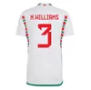 2023 2024 Wales Soccer Jersey Bale Johnson Rodon Ramsey Ampadu Moore Wilson Colwill N.Williams Home Away 23 24 National Team Football Shirt