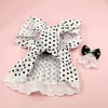 Abbigliamento per cani Pet Princess Dress 2024 Summer Puppy Sweet Dot Gonna Cat Fashion Camicia di pizzo Piccoli vestiti morbidi Yorkshire Chihuahua Barboncino