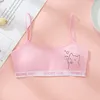 Bras 2024 Cute Cat Pattern Women Bra High Quality Brand Comfortable Smooth Brassiere Seamless Sports Girl Gym Underwire