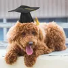 Dog Apparel Pet Graduation Caps Cap With Tassel Small Cat Accessories