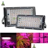 Cultivez des lumières 50W 100W LED 220V Violet Phyto Light avec des lampes de plantes de prise pour serre hydroponique fleur semis livraison directe Lighti Dhy8A