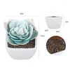 Decorative Flowers Simulation Plant Bonsai Mini Small Tree Pot Grass Fake Flower Home Garden Office Table Decoration