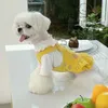 Cão vestuário outono e inverno veludo pet cinta saia coelho morango remendo ursos malthus ano bonito vestido para cães pequenos