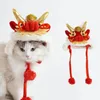 Cão vestuário laço-up chapéu de estimação fácil de usar ajustável dragão dos desenhos animados para festivo feriado vestir-se quente traje bonito gatos