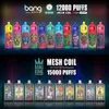 Оригинальный Bang King 15000 Bang Box 12000 Puff 12000 15K Puffs Одноразовые Vapes Pen Электронная сигарета VS Bang Tornado 12000 13000 18000 Испаритель Перезарядка Сетчатая катушка Vape Pen