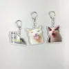 Keychains Viral Video Memes Series Of -huh Cat Confused Shocked Crunching Also Known As Crunchy C