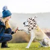 Cão vestuário gato orelha capa à prova de vento aquecedor chapéu bonito cordão pet snood térmico para chinchila