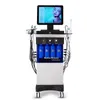 14 In1 H2O2 Hydro Dermabrasion Bio-Lifting Hydrofacial Acne Por Cleaner Hydro Microdermabrasion Machine Skin Care Beauty Device Device