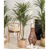 Decorative Flowers Green Sago Cycas Emulational Plants And Plant Pot Decoration Large Floor For Living Room