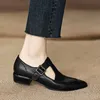 Dress Shoess Single Shoe Women's French Low Heeled Pointed Thick Brown T-shaped Buckle Mary Jane Shoes