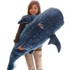 50/100 cm Cartoon Blue Shark fyllda plyschleksaker Big Fish Whale Baby Soft Animal Pillow Dolls Barn födelsedagspresenter 240202