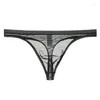 Unterhosen Herren Transparenter Tanga Dünnes Mesh Sexy G-String Unterwäsche Atmungsaktive T-Hosen Unterhose Einfarbige Dessous Männliche Höschen