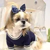 Cão vestuário urso suéter roupas para animais de estimação desenhos animados tricô pequenos cães roupas quentes outono inverno moda bonito menina yorkies gatos brancos ropa perro