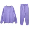 Pantalon deux pièces violet pour femmes, costume de sport, printemps et automne 2024, Style décontracté, pull ample à manches longues, 2 ensembles