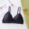 Soutien-gorge en dentelle à section fine, couleur unie, broderie creuse, haut tubulaire triangulaire, doux, sans couture, sous-vêtements pour femmes, dos bas transparent